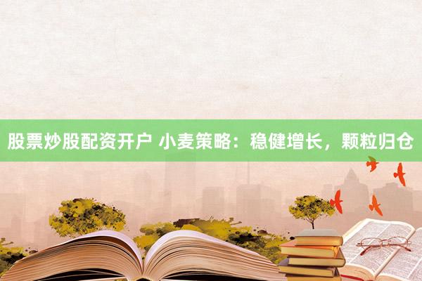 股票炒股配资开户 小麦策略：稳健增长，颗粒归仓
