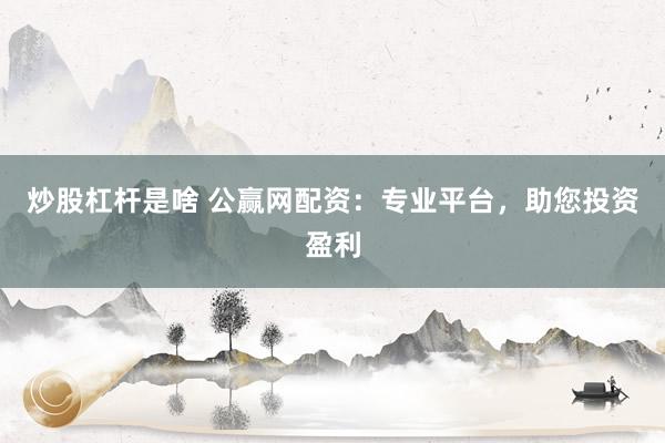 炒股杠杆是啥 公赢网配资：专业平台，助您投资盈利
