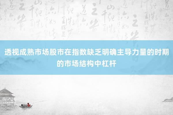 透视成熟市场股市在指数缺乏明确主导力量的时期的市场结构中杠杆