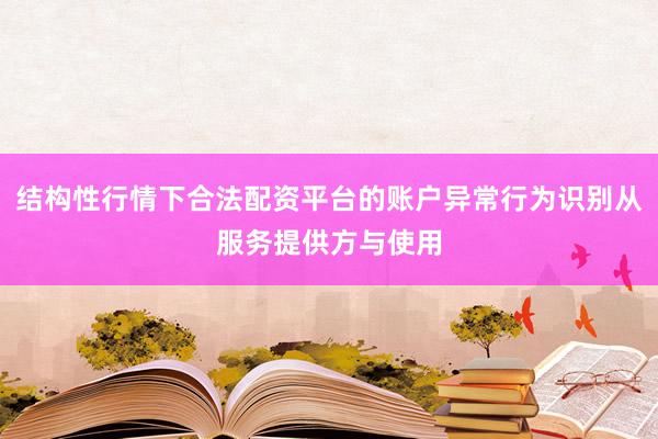 结构性行情下合法配资平台的账户异常行为识别从服务提供方与使用