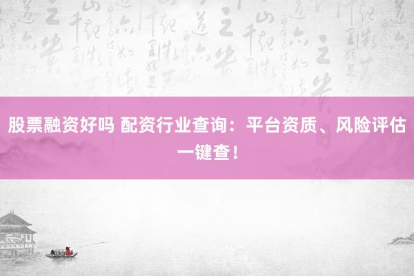 股票融资好吗 配资行业查询：平台资质、风险评估一键查！